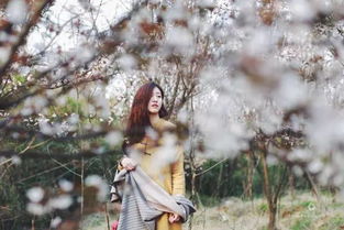 樱花市集 复古与潮流的春日约会