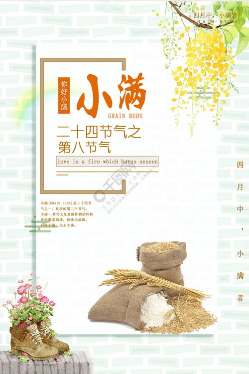 小满 麦浪与光影的交响——以一幅原创海报为引的文艺随笔